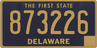 DE license plate 873226
