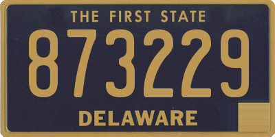 DE license plate 873229