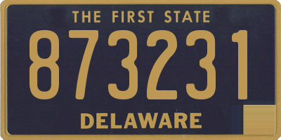 DE license plate 873231