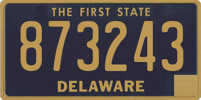 DE license plate 873243