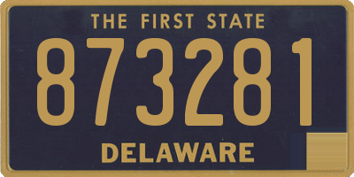 DE license plate 873281