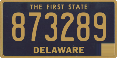 DE license plate 873289