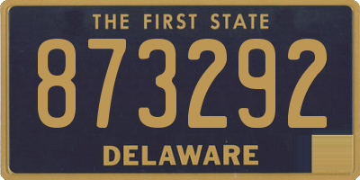 DE license plate 873292