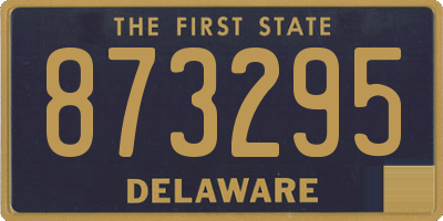 DE license plate 873295