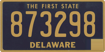 DE license plate 873298