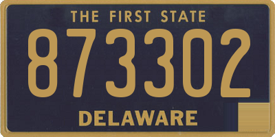 DE license plate 873302