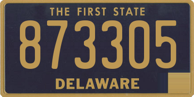 DE license plate 873305