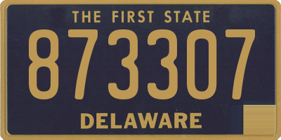 DE license plate 873307
