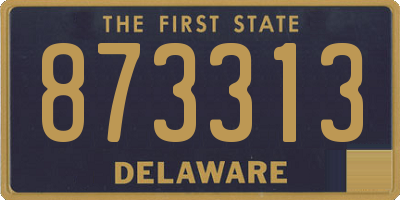 DE license plate 873313