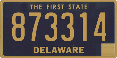 DE license plate 873314