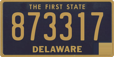 DE license plate 873317