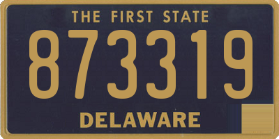 DE license plate 873319