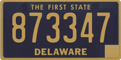 DE license plate 873347