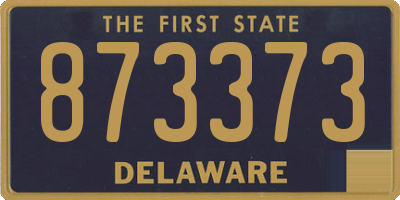 DE license plate 873373