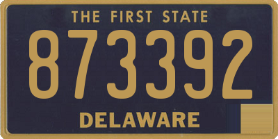 DE license plate 873392
