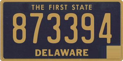 DE license plate 873394