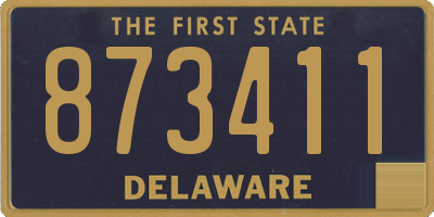 DE license plate 873411