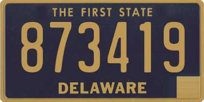 DE license plate 873419