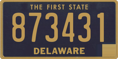 DE license plate 873431