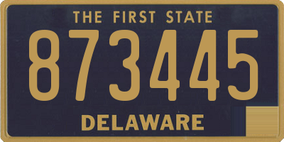 DE license plate 873445