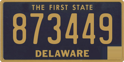 DE license plate 873449