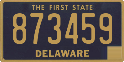 DE license plate 873459