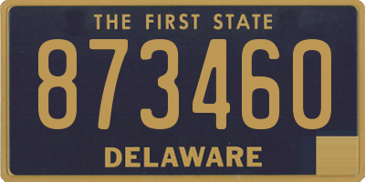 DE license plate 873460