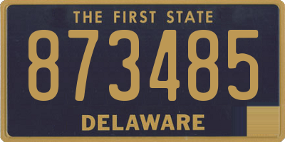 DE license plate 873485