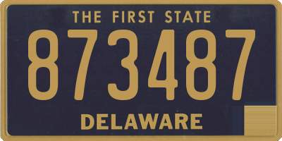 DE license plate 873487