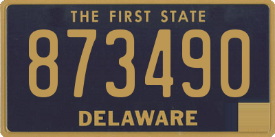 DE license plate 873490