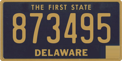 DE license plate 873495