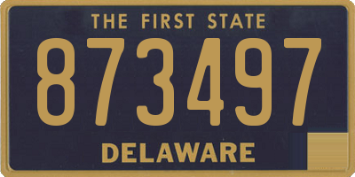 DE license plate 873497