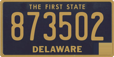 DE license plate 873502