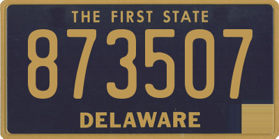 DE license plate 873507