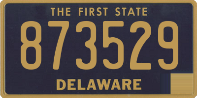 DE license plate 873529