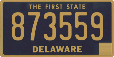 DE license plate 873559