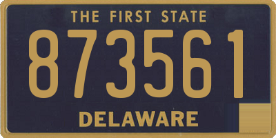 DE license plate 873561