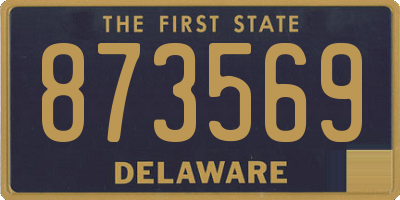 DE license plate 873569