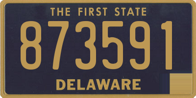 DE license plate 873591