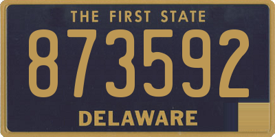 DE license plate 873592