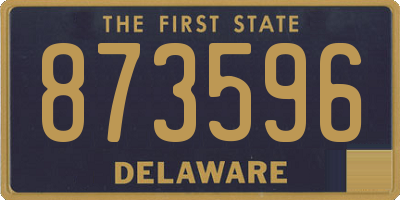 DE license plate 873596