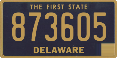 DE license plate 873605
