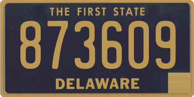 DE license plate 873609
