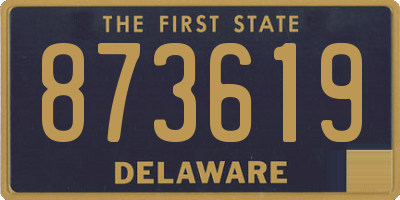 DE license plate 873619