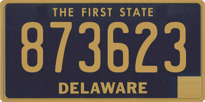 DE license plate 873623