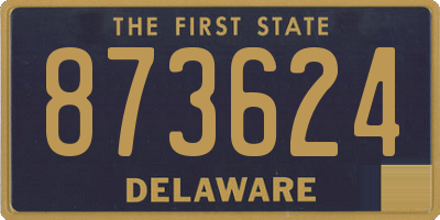 DE license plate 873624