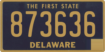 DE license plate 873636
