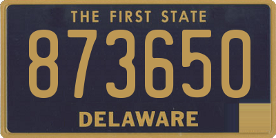 DE license plate 873650