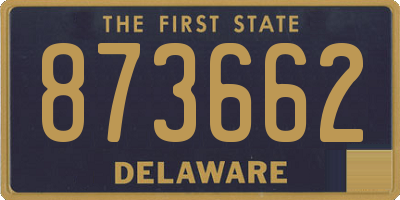 DE license plate 873662