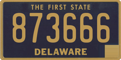 DE license plate 873666